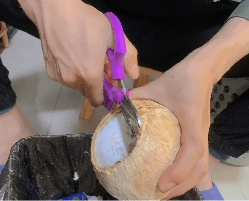 Crafting the Perfect Potting Mix: A Comprehensive Guide