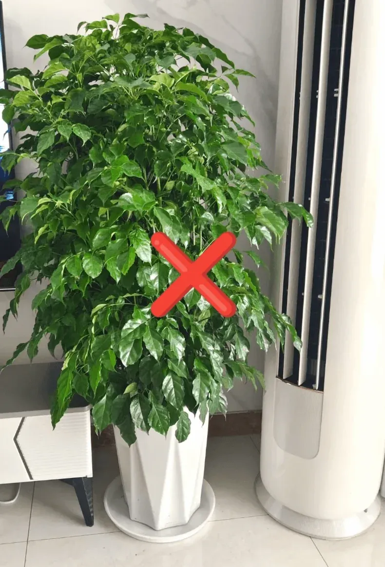 Temperature shock effects