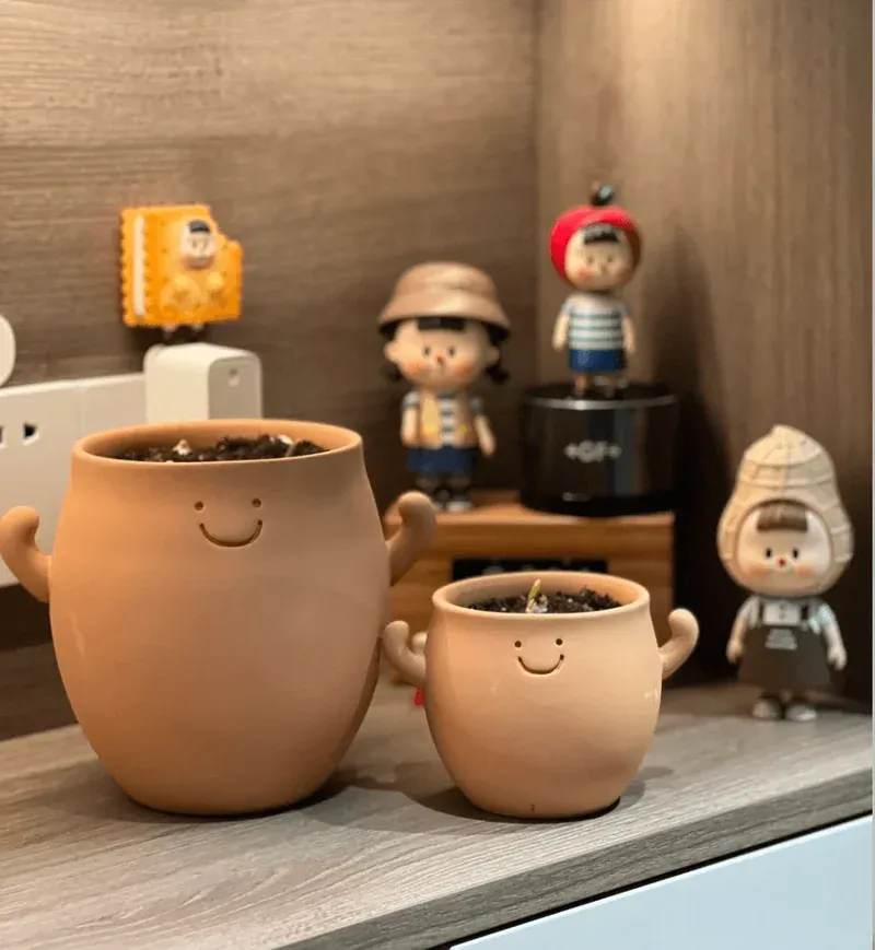 Choosing the Right Pot: A Guide to Plastic, Clay, and Air Containers