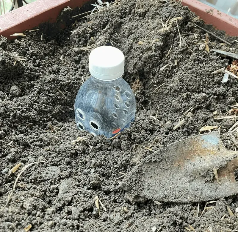 The Art of No-Till Gardening: Embrace a Gentle Approach to Soil Health