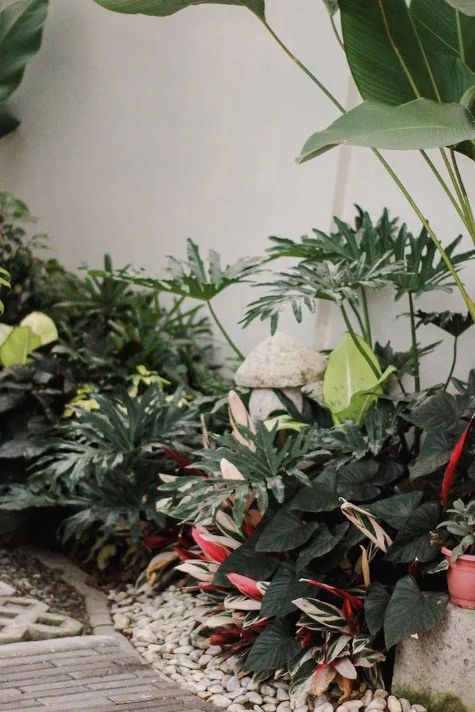 A diverse range of native plants in a garden