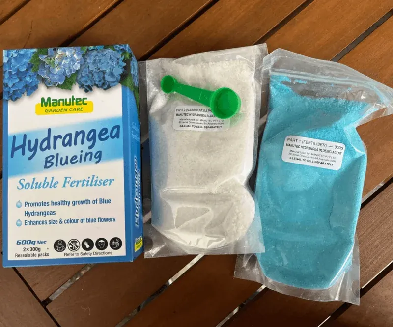 Blue Hydrangea Guide