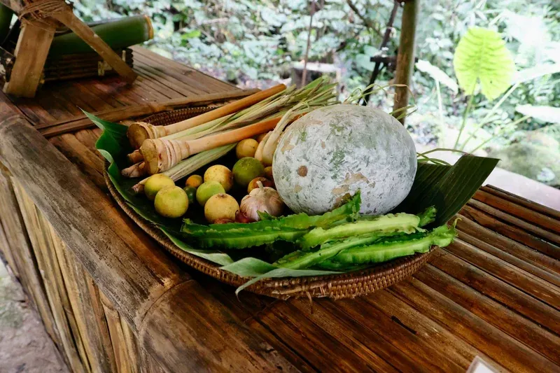 Essential Winter Vegetables: December's Must-Plant Guide